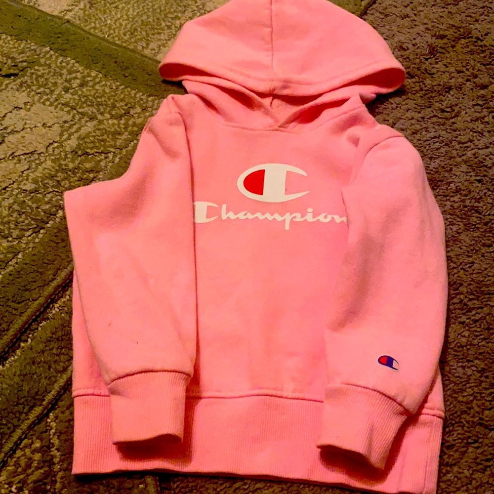 CHAMPION HOOD SWEATER SZ4T